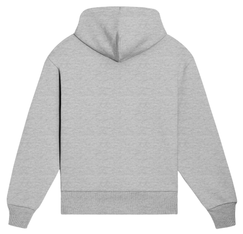 BS Hoodie Grey